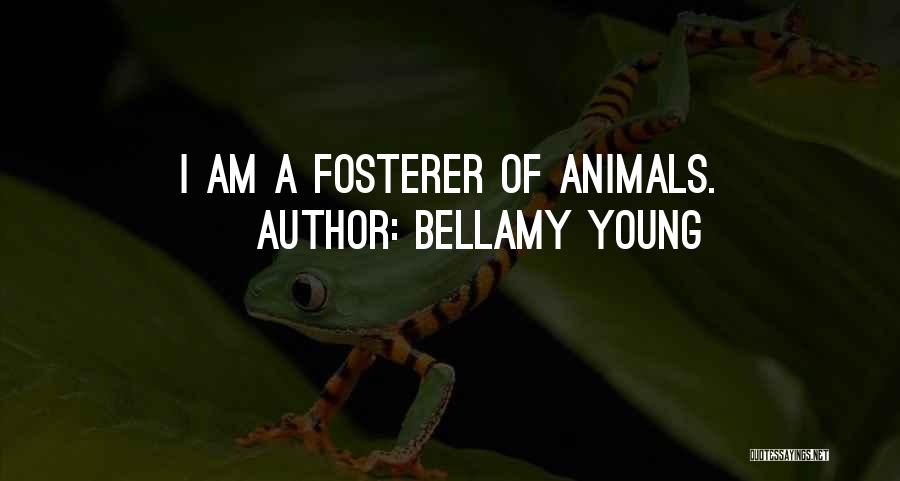 Bellamy Young Quotes: I Am A Fosterer Of Animals.