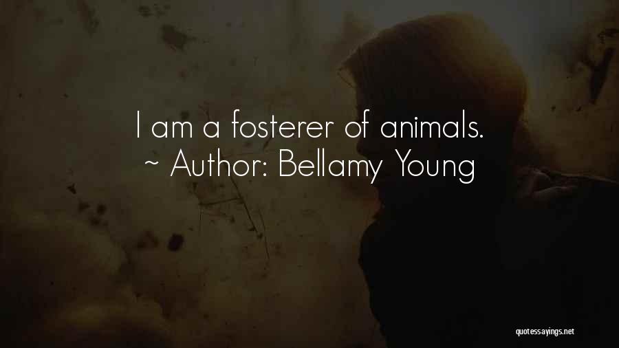 Bellamy Young Quotes: I Am A Fosterer Of Animals.