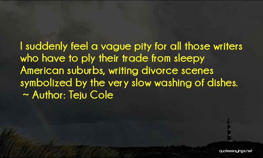 Teju Cole Quotes: I Suddenly Feel A Vague Pity For All Those Writers Who Have To Ply Their Trade From Sleepy American Suburbs,