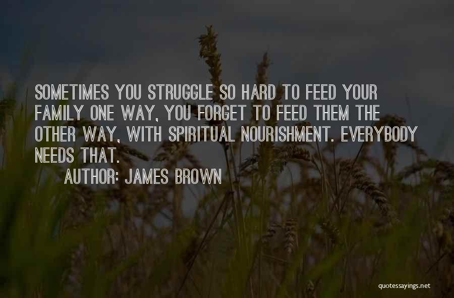 James Brown Quotes: Sometimes You Struggle So Hard To Feed Your Family One Way, You Forget To Feed Them The Other Way, With