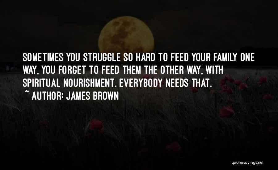 James Brown Quotes: Sometimes You Struggle So Hard To Feed Your Family One Way, You Forget To Feed Them The Other Way, With