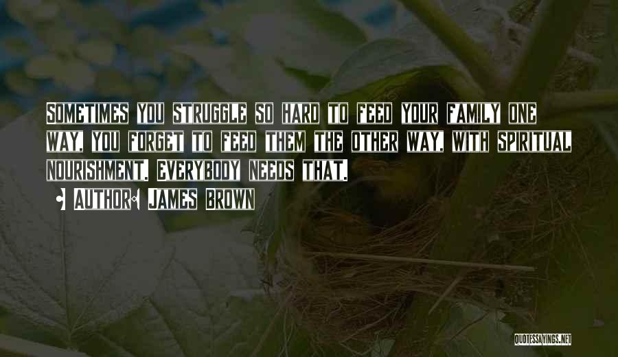 James Brown Quotes: Sometimes You Struggle So Hard To Feed Your Family One Way, You Forget To Feed Them The Other Way, With