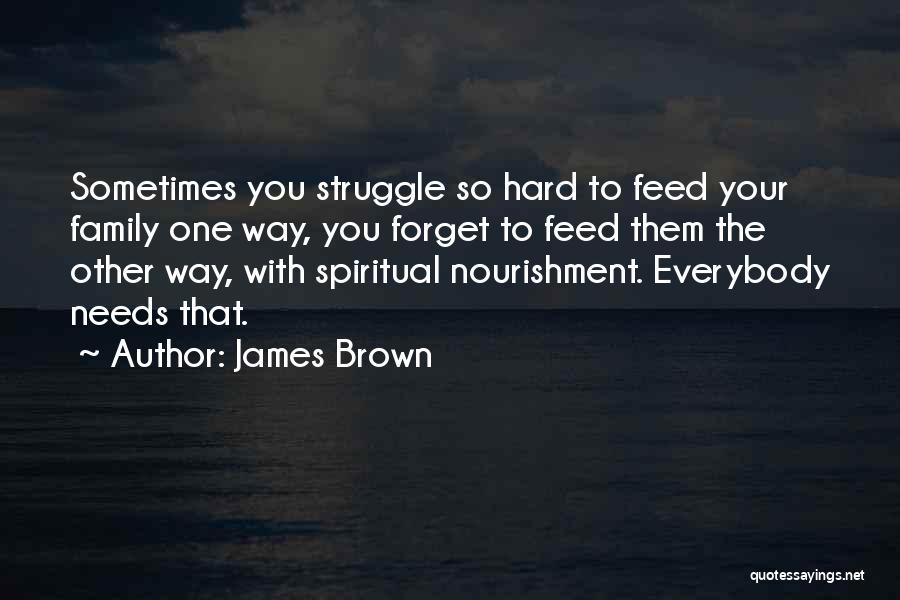 James Brown Quotes: Sometimes You Struggle So Hard To Feed Your Family One Way, You Forget To Feed Them The Other Way, With