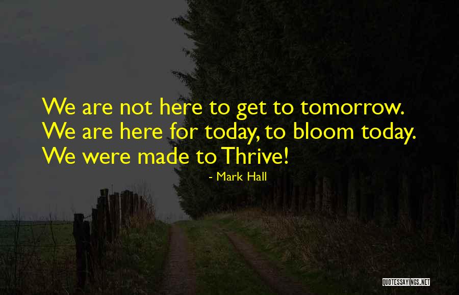 343 Guilty Spark Funny Quotes By Mark Hall 343 Guilty Spark Funny Quotes By Mark Hall
