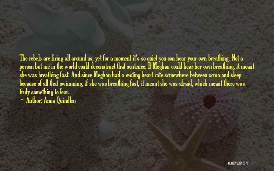 Anna Quindlen Quotes: The Rebels Are Firing All Around Us, Yet For A Moment It's So Quiet You Can Hear Your Own Breathing.