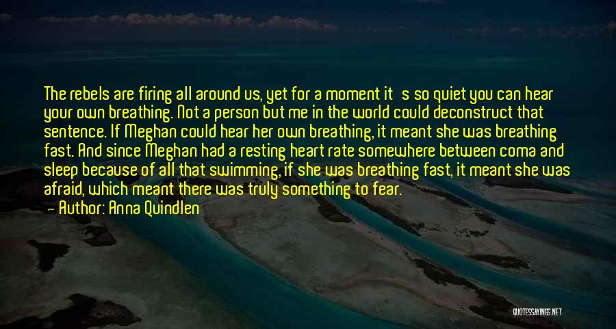 Anna Quindlen Quotes: The Rebels Are Firing All Around Us, Yet For A Moment It's So Quiet You Can Hear Your Own Breathing.