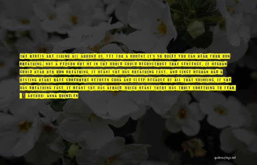 Anna Quindlen Quotes: The Rebels Are Firing All Around Us, Yet For A Moment It's So Quiet You Can Hear Your Own Breathing.