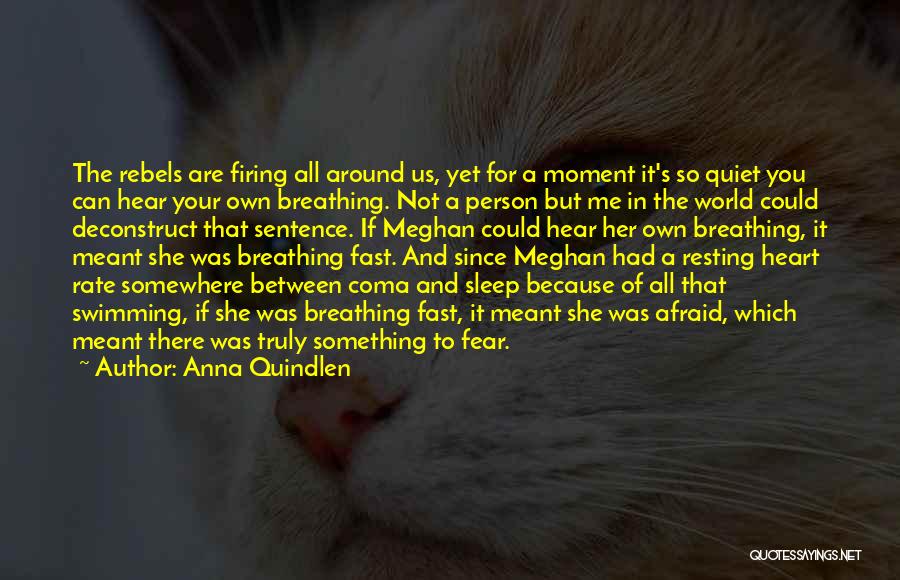 Anna Quindlen Quotes: The Rebels Are Firing All Around Us, Yet For A Moment It's So Quiet You Can Hear Your Own Breathing.