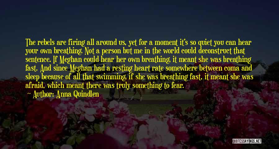 Anna Quindlen Quotes: The Rebels Are Firing All Around Us, Yet For A Moment It's So Quiet You Can Hear Your Own Breathing.