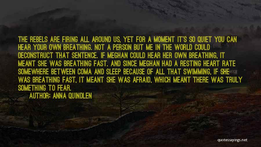 Anna Quindlen Quotes: The Rebels Are Firing All Around Us, Yet For A Moment It's So Quiet You Can Hear Your Own Breathing.