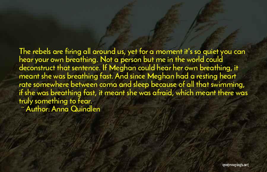 Anna Quindlen Quotes: The Rebels Are Firing All Around Us, Yet For A Moment It's So Quiet You Can Hear Your Own Breathing.