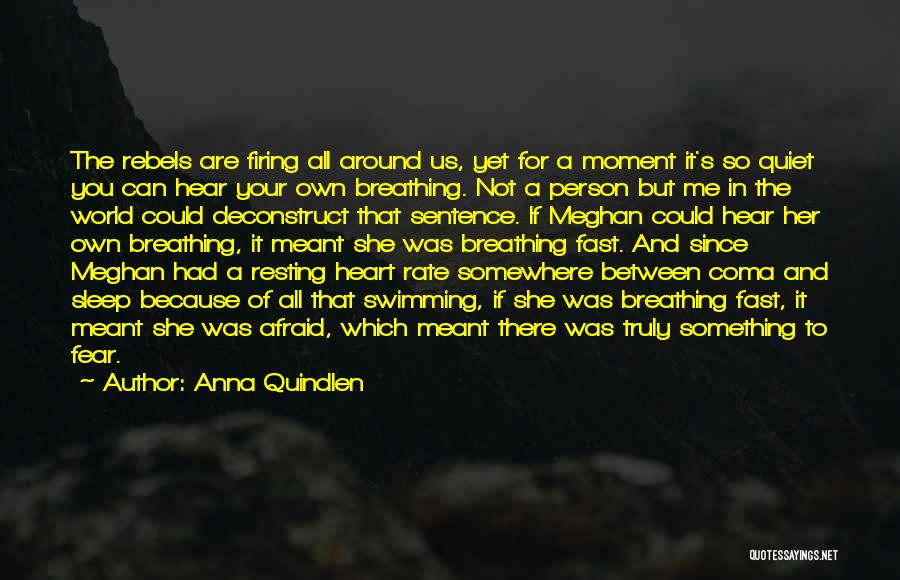 Anna Quindlen Quotes: The Rebels Are Firing All Around Us, Yet For A Moment It's So Quiet You Can Hear Your Own Breathing.