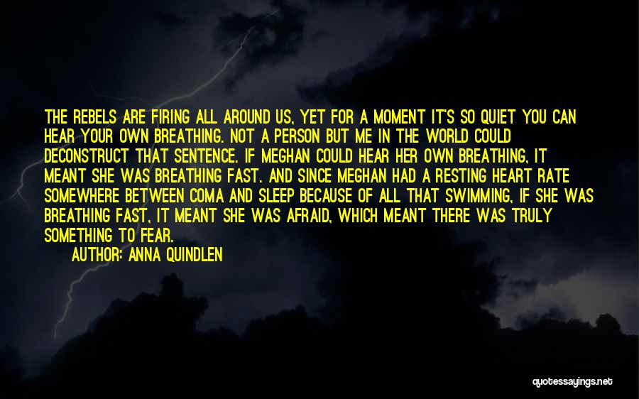 Anna Quindlen Quotes: The Rebels Are Firing All Around Us, Yet For A Moment It's So Quiet You Can Hear Your Own Breathing.