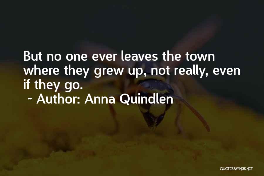 Anna Quindlen Quotes: But No One Ever Leaves The Town Where They Grew Up, Not Really, Even If They Go.