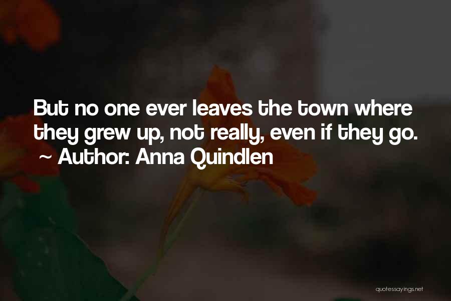 Anna Quindlen Quotes: But No One Ever Leaves The Town Where They Grew Up, Not Really, Even If They Go.