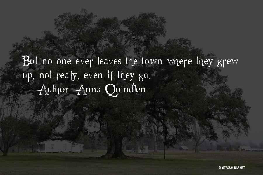 Anna Quindlen Quotes: But No One Ever Leaves The Town Where They Grew Up, Not Really, Even If They Go.