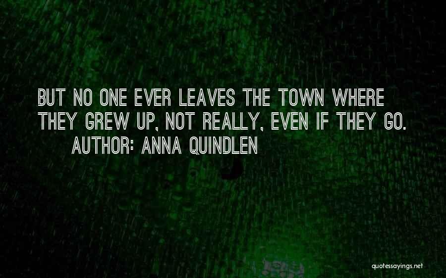 Anna Quindlen Quotes: But No One Ever Leaves The Town Where They Grew Up, Not Really, Even If They Go.