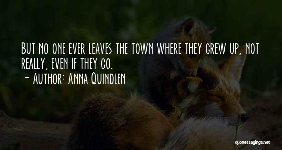Anna Quindlen Quotes: But No One Ever Leaves The Town Where They Grew Up, Not Really, Even If They Go.