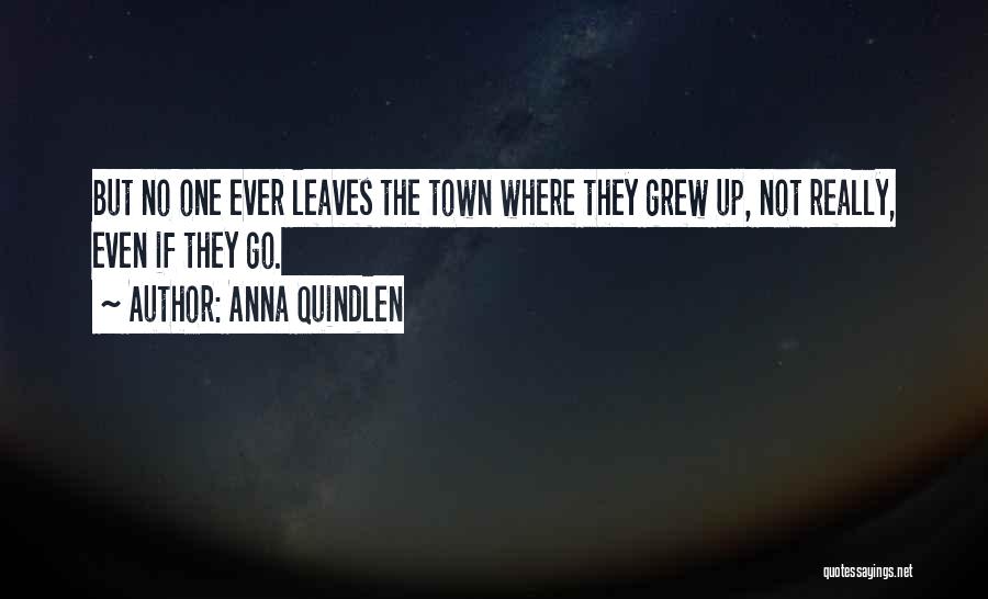 Anna Quindlen Quotes: But No One Ever Leaves The Town Where They Grew Up, Not Really, Even If They Go.