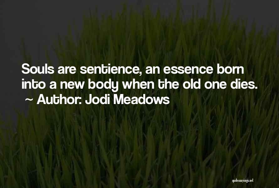 Jodi Meadows Quotes: Souls Are Sentience, An Essence Born Into A New Body When The Old One Dies.