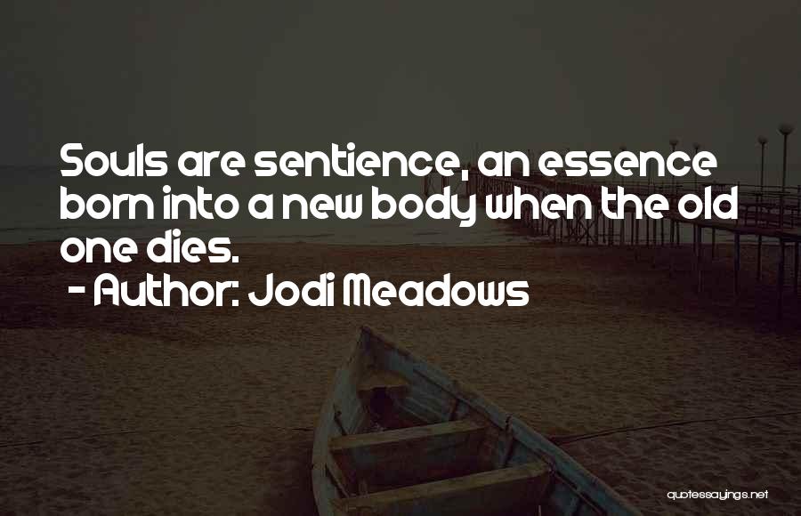 Jodi Meadows Quotes: Souls Are Sentience, An Essence Born Into A New Body When The Old One Dies.