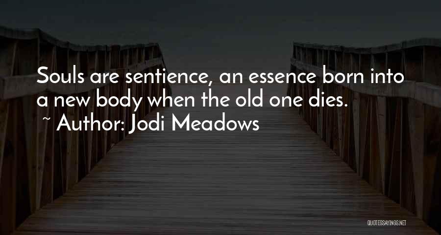 Jodi Meadows Quotes: Souls Are Sentience, An Essence Born Into A New Body When The Old One Dies.