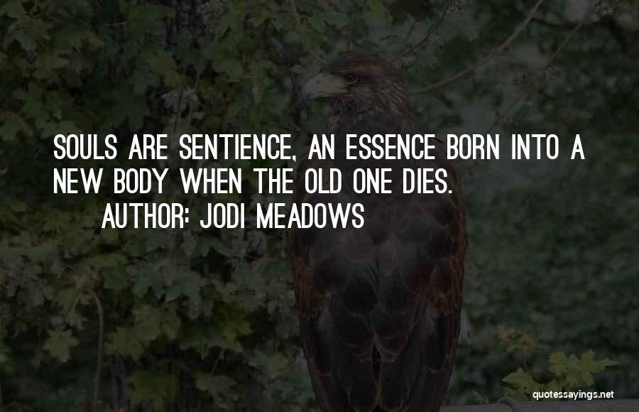 Jodi Meadows Quotes: Souls Are Sentience, An Essence Born Into A New Body When The Old One Dies.