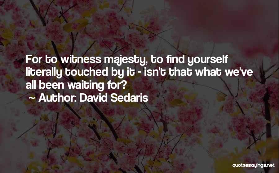 David Sedaris Quotes: For To Witness Majesty, To Find Yourself Literally Touched By It - Isn't That What We've All Been Waiting For?