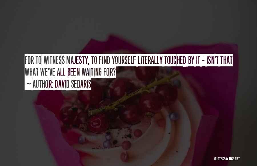 David Sedaris Quotes: For To Witness Majesty, To Find Yourself Literally Touched By It - Isn't That What We've All Been Waiting For?