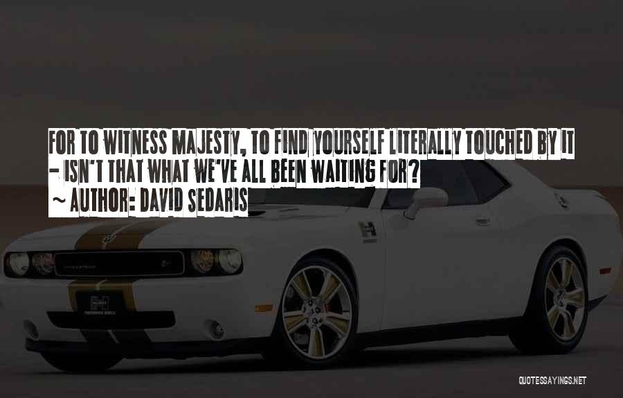David Sedaris Quotes: For To Witness Majesty, To Find Yourself Literally Touched By It - Isn't That What We've All Been Waiting For?