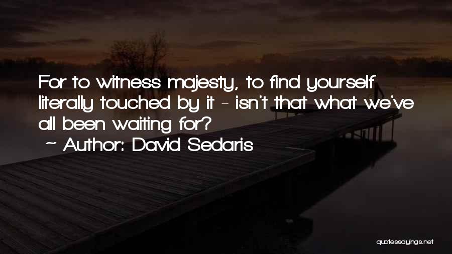 David Sedaris Quotes: For To Witness Majesty, To Find Yourself Literally Touched By It - Isn't That What We've All Been Waiting For?