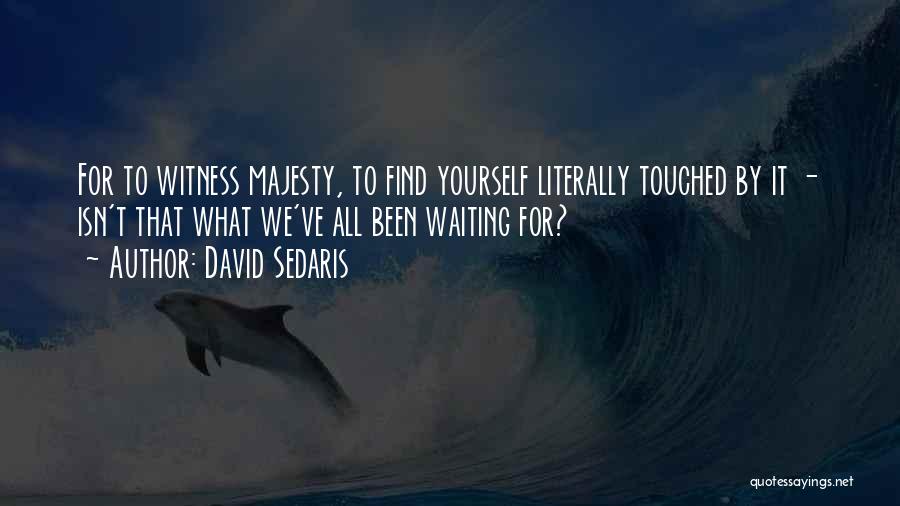 David Sedaris Quotes: For To Witness Majesty, To Find Yourself Literally Touched By It - Isn't That What We've All Been Waiting For?
