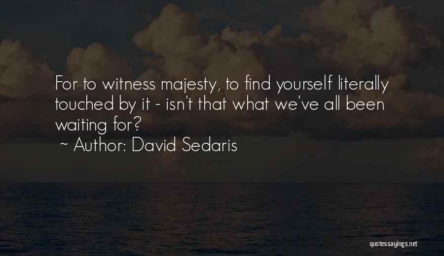 David Sedaris Quotes: For To Witness Majesty, To Find Yourself Literally Touched By It - Isn't That What We've All Been Waiting For?