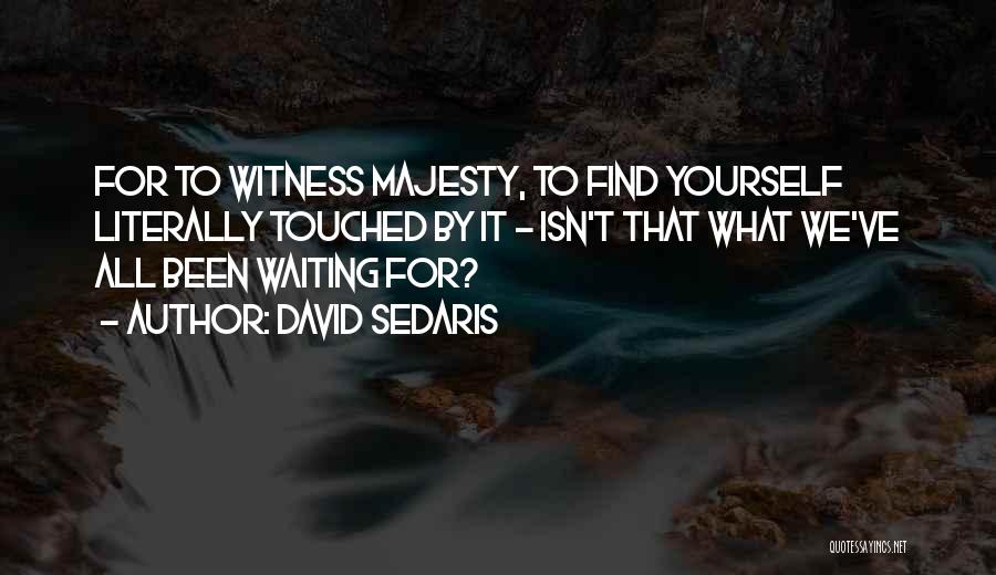 David Sedaris Quotes: For To Witness Majesty, To Find Yourself Literally Touched By It - Isn't That What We've All Been Waiting For?