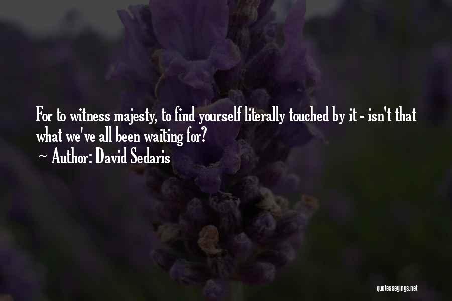 David Sedaris Quotes: For To Witness Majesty, To Find Yourself Literally Touched By It - Isn't That What We've All Been Waiting For?