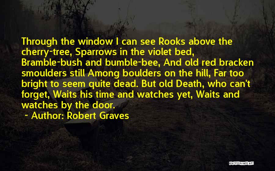 Robert Graves Quotes: Through The Window I Can See Rooks Above The Cherry-tree, Sparrows In The Violet Bed, Bramble-bush And Bumble-bee, And Old