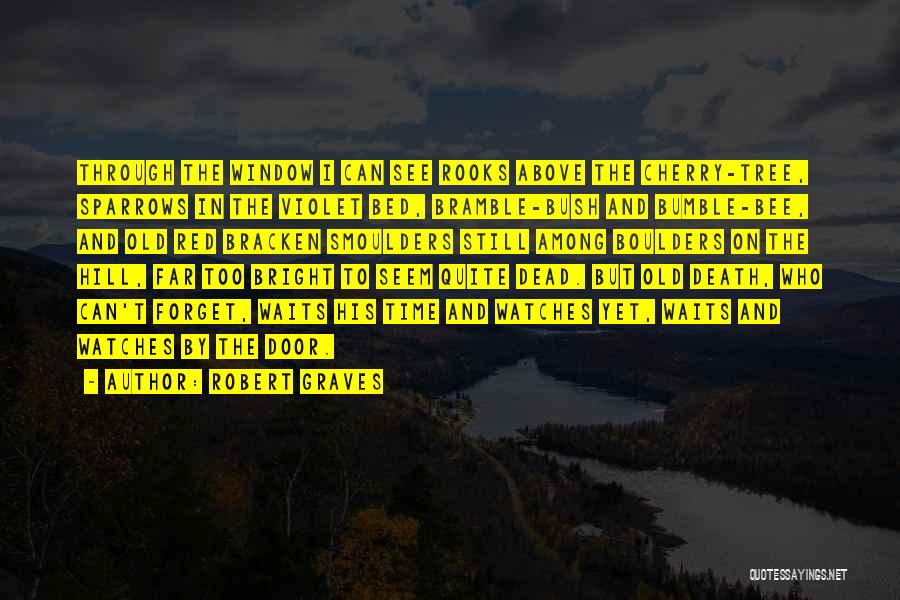 Robert Graves Quotes: Through The Window I Can See Rooks Above The Cherry-tree, Sparrows In The Violet Bed, Bramble-bush And Bumble-bee, And Old