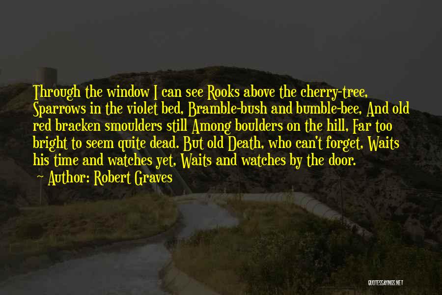 Robert Graves Quotes: Through The Window I Can See Rooks Above The Cherry-tree, Sparrows In The Violet Bed, Bramble-bush And Bumble-bee, And Old