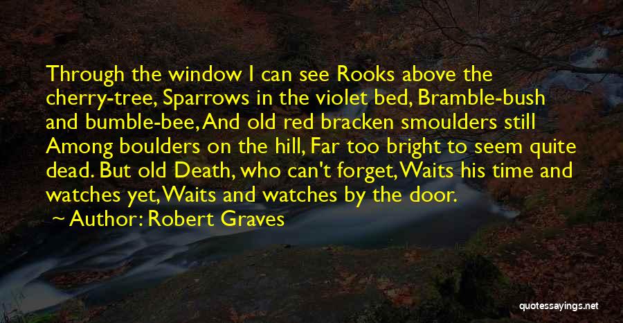 Robert Graves Quotes: Through The Window I Can See Rooks Above The Cherry-tree, Sparrows In The Violet Bed, Bramble-bush And Bumble-bee, And Old