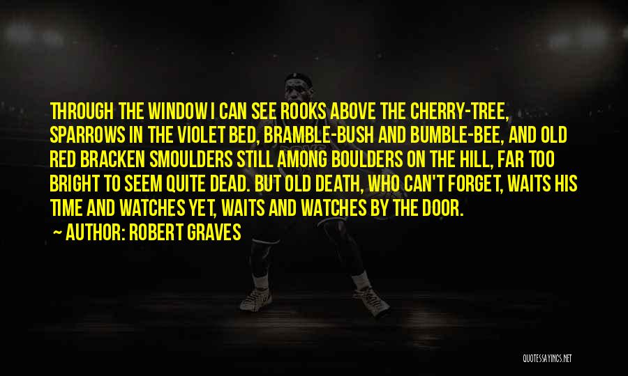 Robert Graves Quotes: Through The Window I Can See Rooks Above The Cherry-tree, Sparrows In The Violet Bed, Bramble-bush And Bumble-bee, And Old