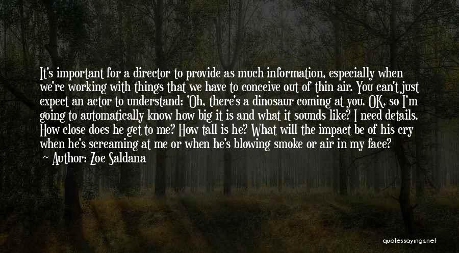 Zoe Saldana Quotes: It's Important For A Director To Provide As Much Information, Especially When We're Working With Things That We Have To