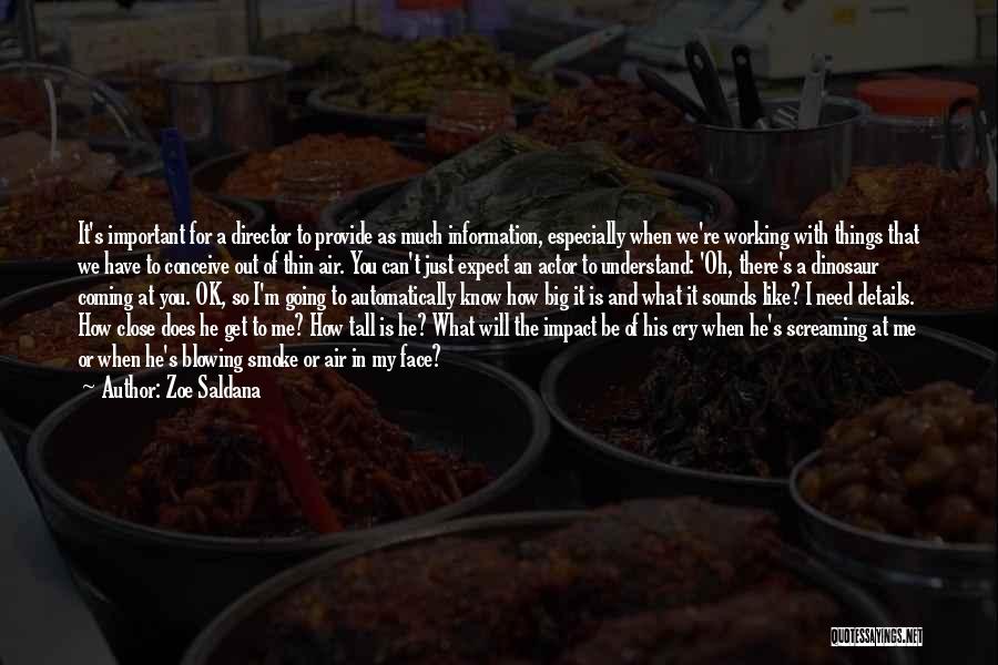 Zoe Saldana Quotes: It's Important For A Director To Provide As Much Information, Especially When We're Working With Things That We Have To