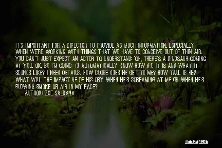 Zoe Saldana Quotes: It's Important For A Director To Provide As Much Information, Especially When We're Working With Things That We Have To