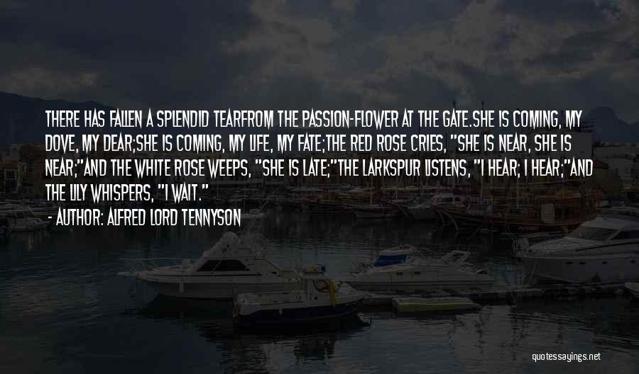 Alfred Lord Tennyson Quotes: There Has Fallen A Splendid Tearfrom The Passion-flower At The Gate.she Is Coming, My Dove, My Dear;she Is Coming, My