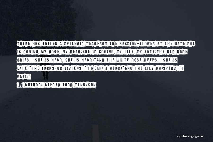 Alfred Lord Tennyson Quotes: There Has Fallen A Splendid Tearfrom The Passion-flower At The Gate.she Is Coming, My Dove, My Dear;she Is Coming, My