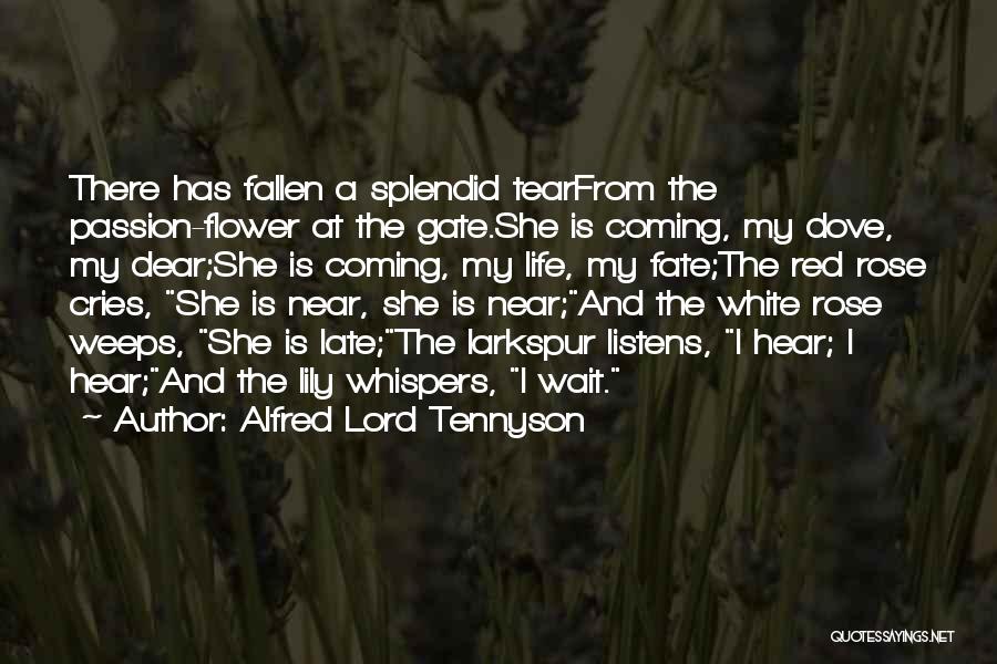 Alfred Lord Tennyson Quotes: There Has Fallen A Splendid Tearfrom The Passion-flower At The Gate.she Is Coming, My Dove, My Dear;she Is Coming, My