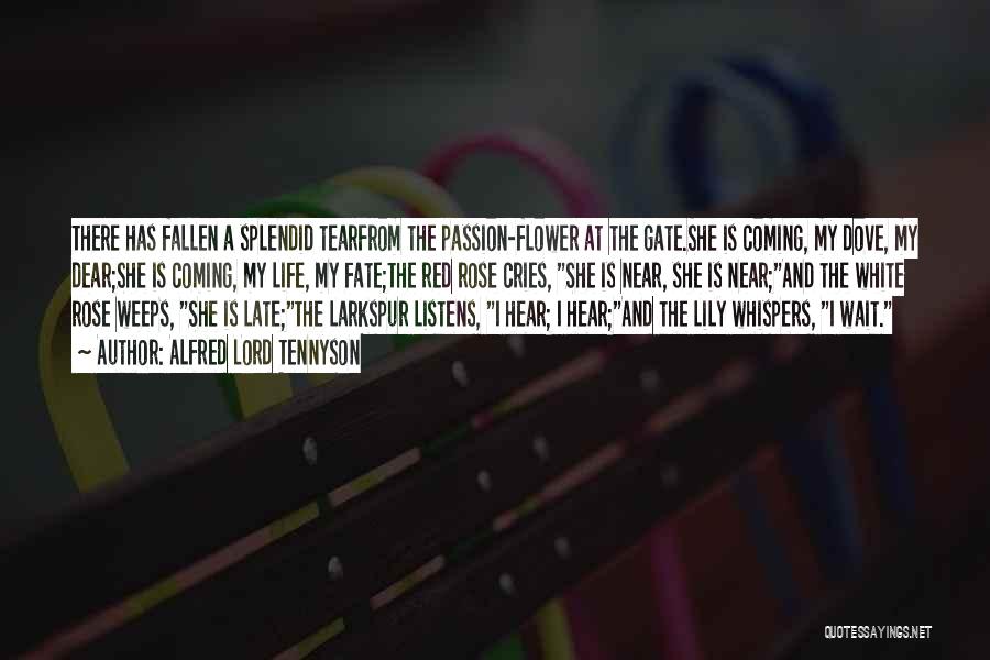 Alfred Lord Tennyson Quotes: There Has Fallen A Splendid Tearfrom The Passion-flower At The Gate.she Is Coming, My Dove, My Dear;she Is Coming, My