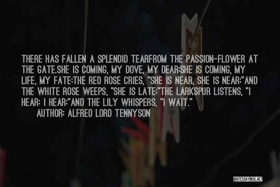 Alfred Lord Tennyson Quotes: There Has Fallen A Splendid Tearfrom The Passion-flower At The Gate.she Is Coming, My Dove, My Dear;she Is Coming, My