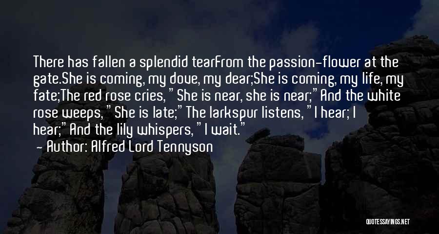 Alfred Lord Tennyson Quotes: There Has Fallen A Splendid Tearfrom The Passion-flower At The Gate.she Is Coming, My Dove, My Dear;she Is Coming, My