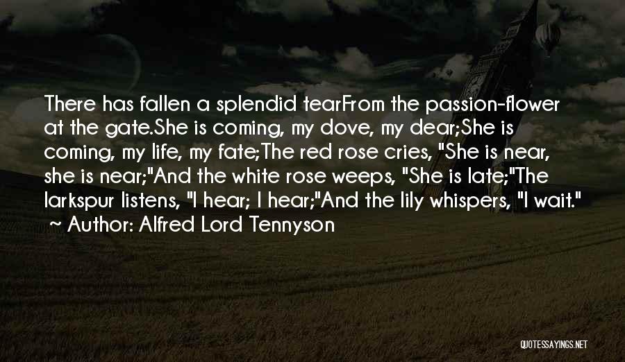 Alfred Lord Tennyson Quotes: There Has Fallen A Splendid Tearfrom The Passion-flower At The Gate.she Is Coming, My Dove, My Dear;she Is Coming, My